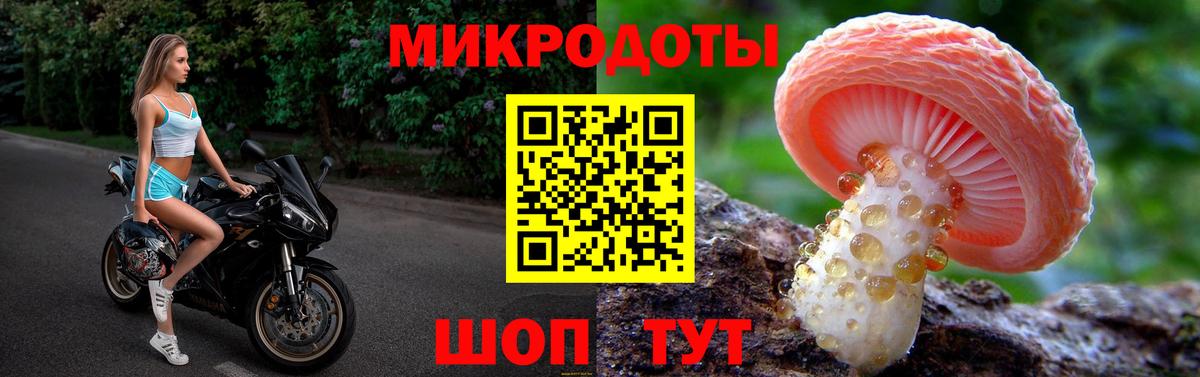 Ставрополь  Галлюциногенные грибы GOLDEN TEACHER  Вход с VPN 